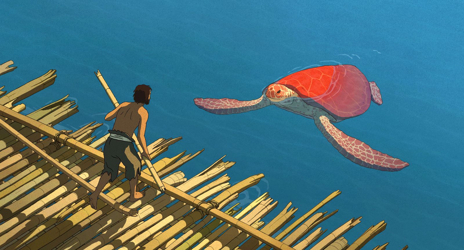 Fotograma de La tortuga roja