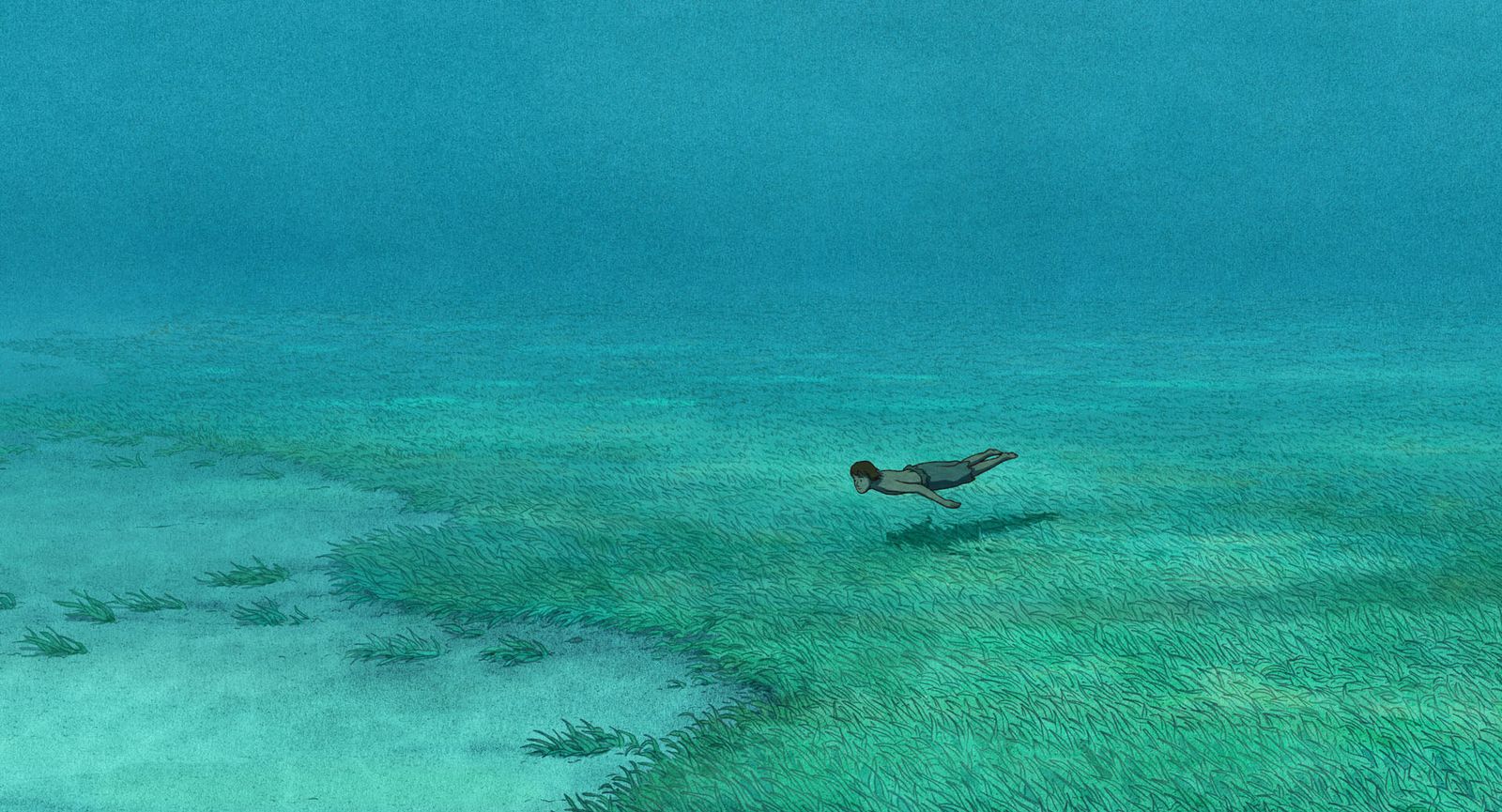 Una tortuga en el agua clara