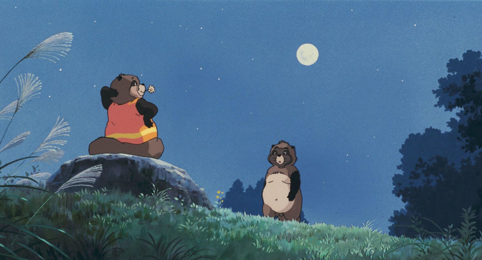 Tanuki bajo la luna, en lo que queda del monte